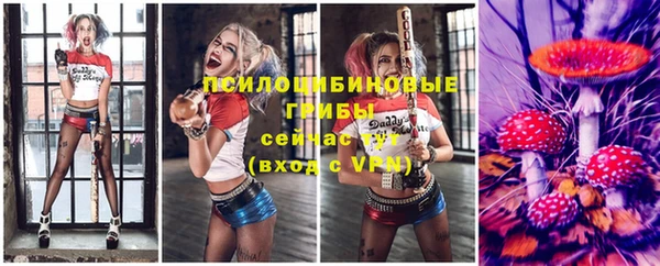 гидропоника Алзамай