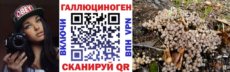 Галлюциногенные грибы Psilocybe  Макушино 