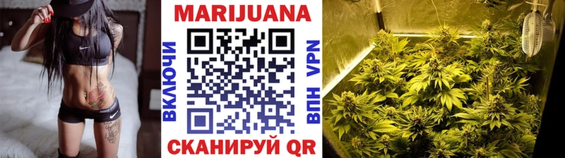 Канабис семена  Макушино 